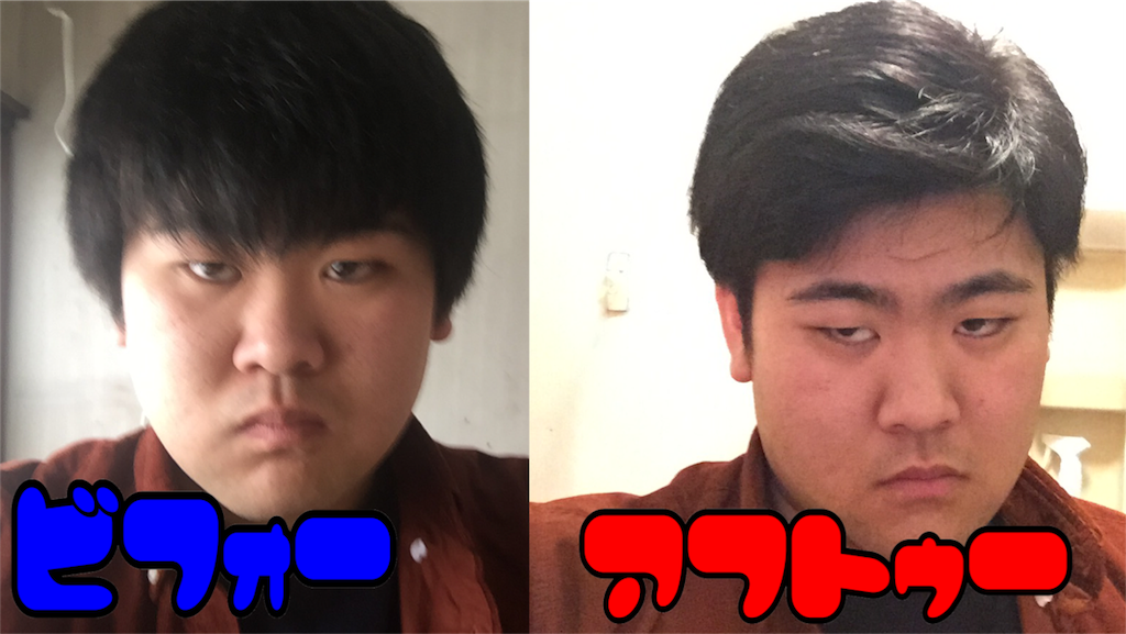f:id:iwatenoheiwa:20180120003312p:image