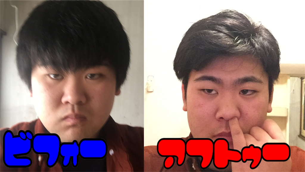 f:id:iwatenoheiwa:20180120003316p:image