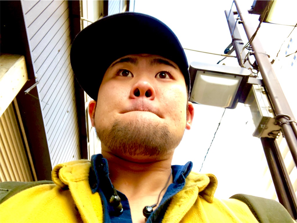 f:id:iwatenoheiwa:20190213192856j:image