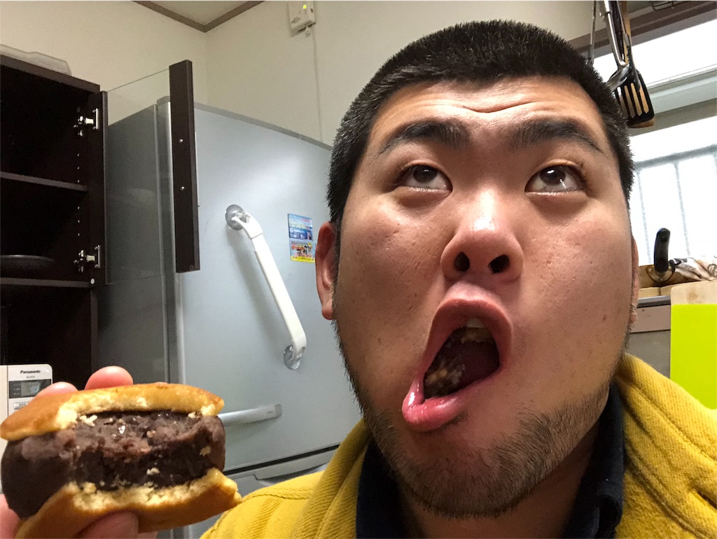 f:id:iwatenoheiwa:20190218223903j:image
