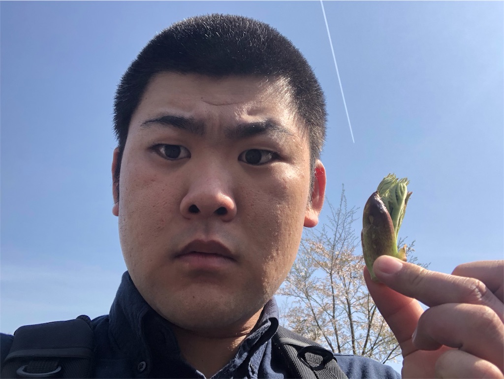f:id:iwatenoheiwa:20190421181221j:image
