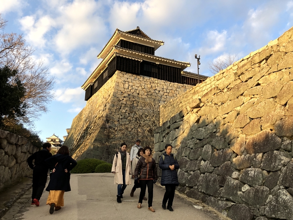f:id:iwatiger:20190113152110j:plain f:id:iwatiger:20190113152110j:plain