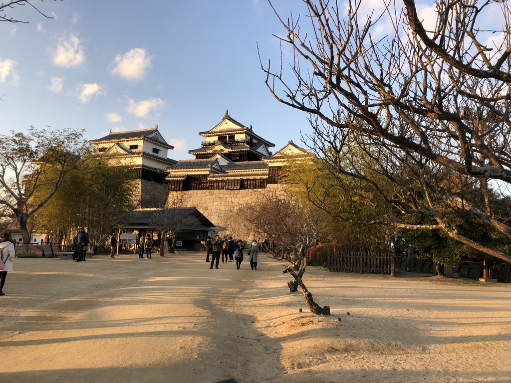 f:id:iwatiger:20190113152150j:plain f:id:iwatiger:20190113152150j:plain