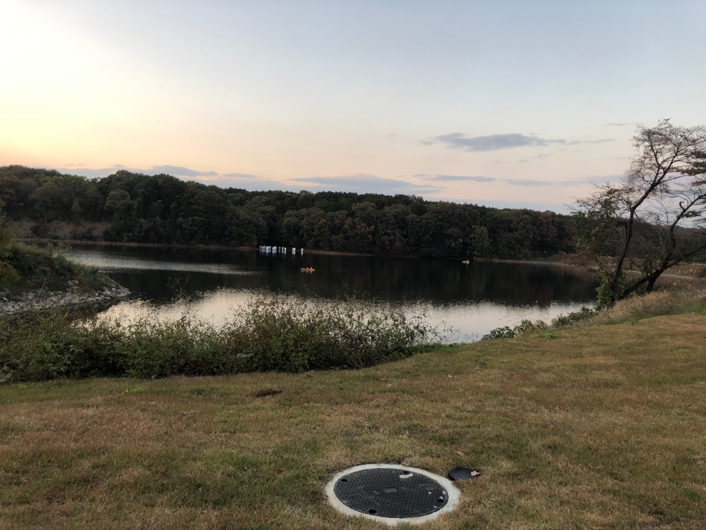 f:id:iwatiger:20190113180535j:plain f:id:iwatiger:20190113180535j:plain