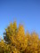 20101031000225