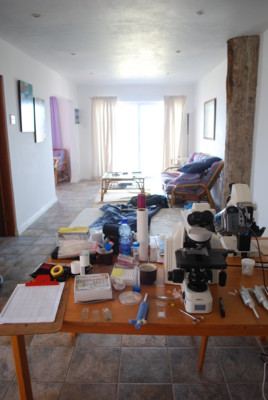 f:id:iwayou:20101117175614j:image f:id:iwayou:20101117175614j:image