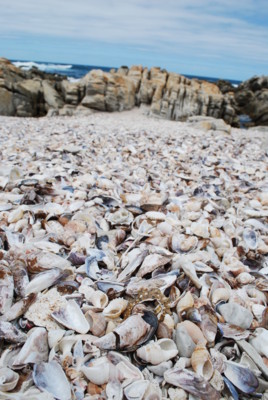 f:id:iwayou:20101117181018j:image f:id:iwayou:20101117181018j:image