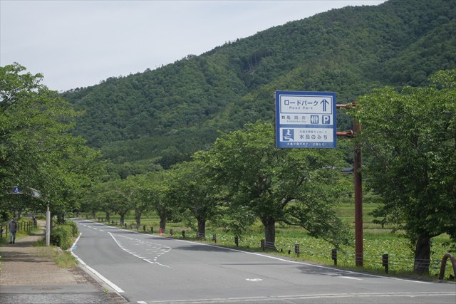 亀岡 京都府亀岡市稗田野町湯ノ花 桜石 ( セラサイト )