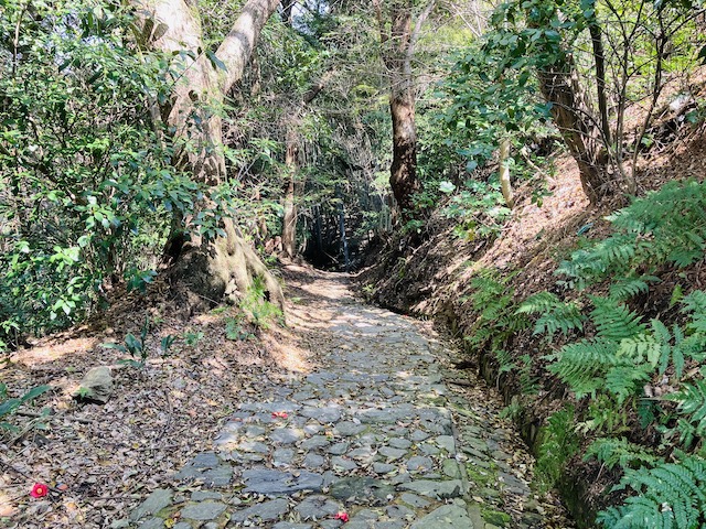 吉見嶽方面へ