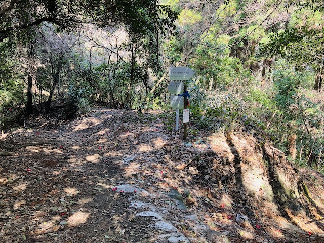 分岐を吉見嶽方面へ