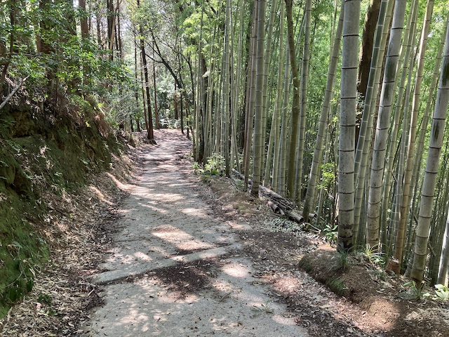 北谷コースの道