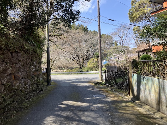 御手洗池あたりに出ます