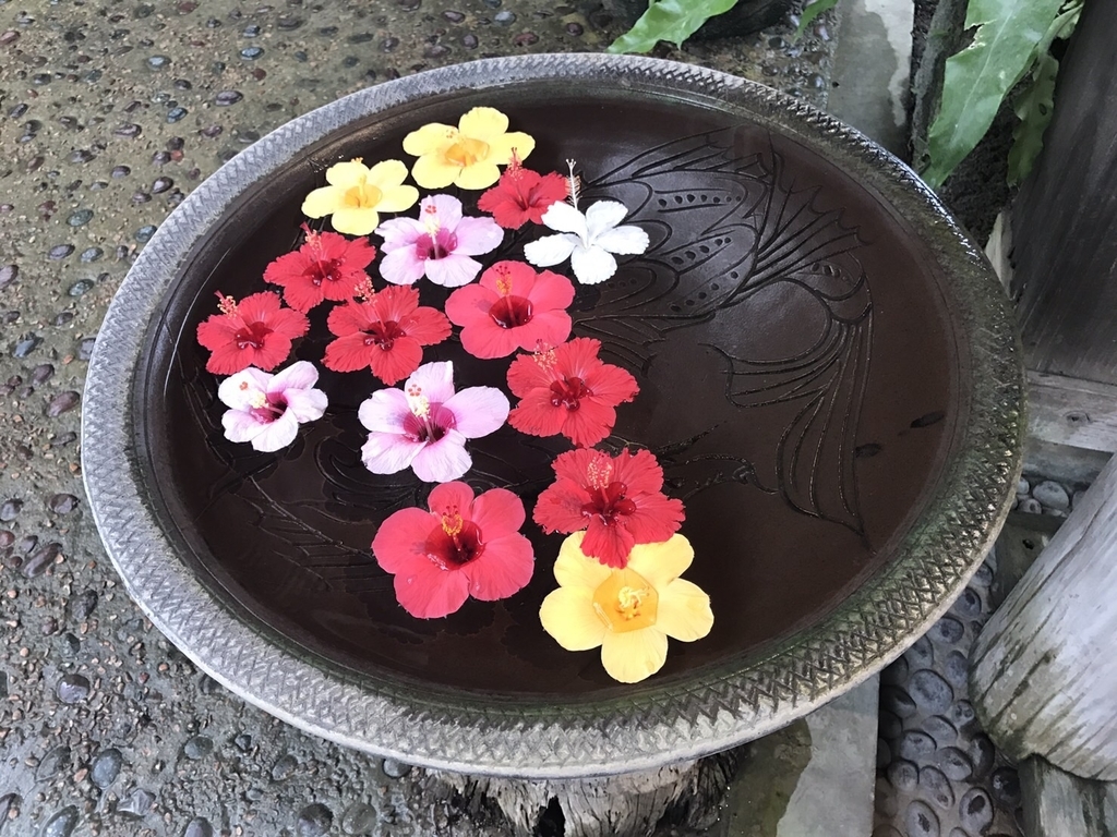 f:id:iwskknn:20181101160455j:plain f:id:iwskknn:20181101160455j:plain
