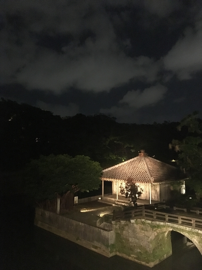 f:id:iwskknn:20190120170541j:plain f:id:iwskknn:20190120170541j:plain