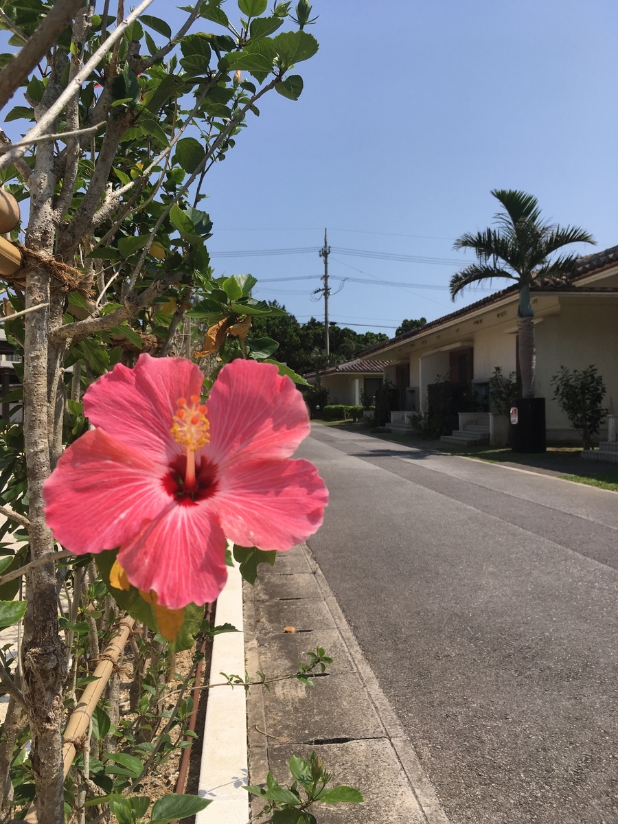 f:id:iwskknn:20190408202301j:plain f:id:iwskknn:20190408202301j:plain