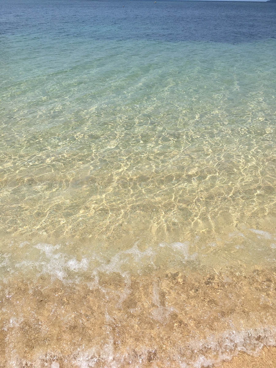 f:id:iwskknn:20190408202307j:plain f:id:iwskknn:20190408202307j:plain