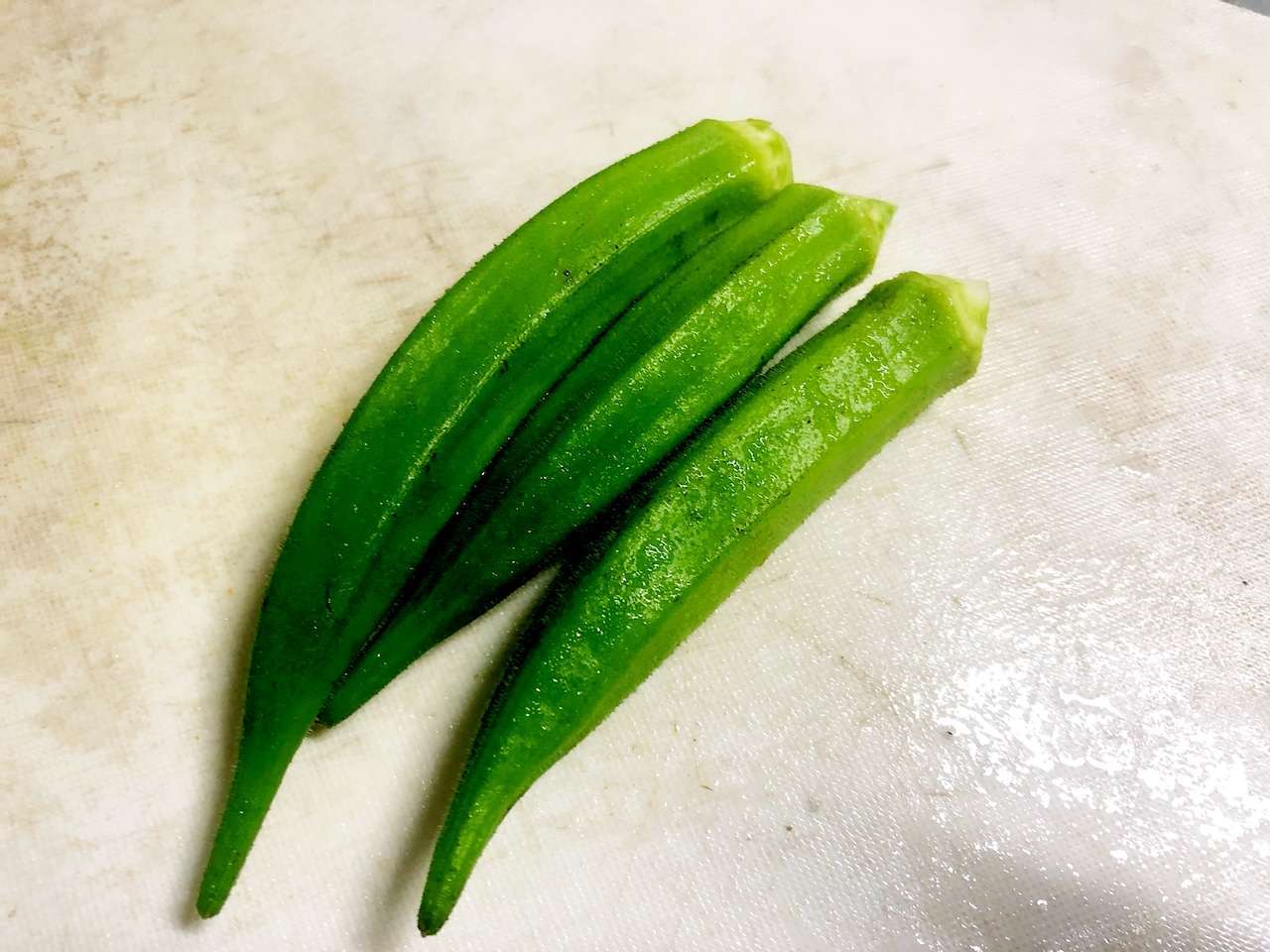 f:id:iyasaka_fasting:20210715233043j:plain