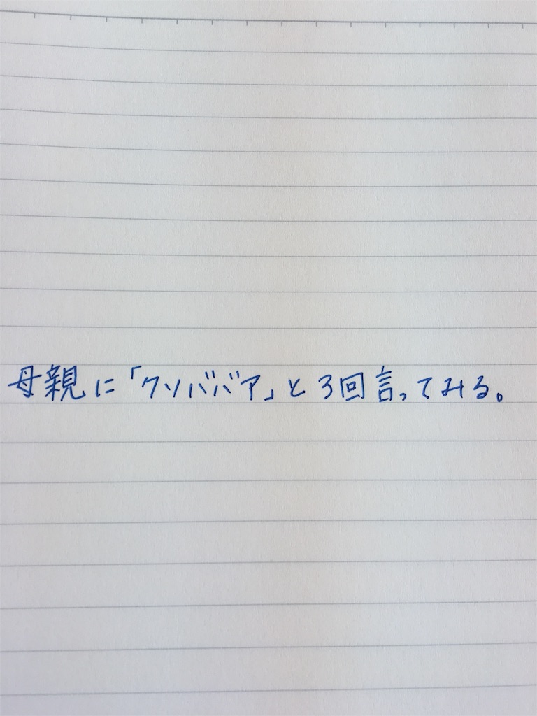 一生お金に困らない生き方ー母親に クソババア と３回言ってみる 癒しのメモリー