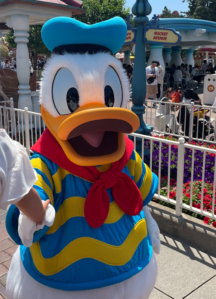 トゥーンタウンでお散歩 ドナルドダック - 癒しの国の世界へようこそ