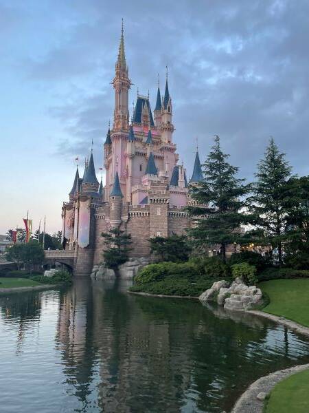 新年の始まりは美しいシンデレラ城 - 癒しの国の世界へようこそ