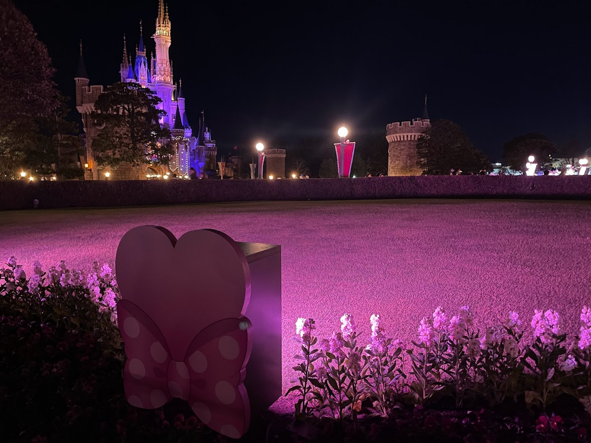 癒しの国の世界Aliceがお届けする 週末の癒しの風景 - 癒しの国