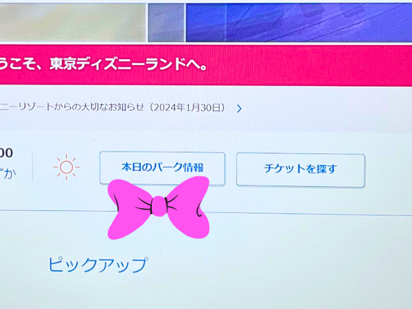 東京ディズニーリゾート公式ホームページでパークの事前計画を立てよう