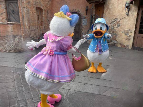 亜矢ちゃん　ディズニー☆超希少☆レア　ドナルド　1999 亜矢ちゃん ディズニー☆超希少☆レア ドナルド 1999 亜矢ちゃん