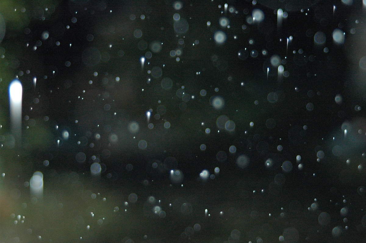 令和7年10月31日・夜明け前の天候は雨の降る時間に - とくしま・やまだより
