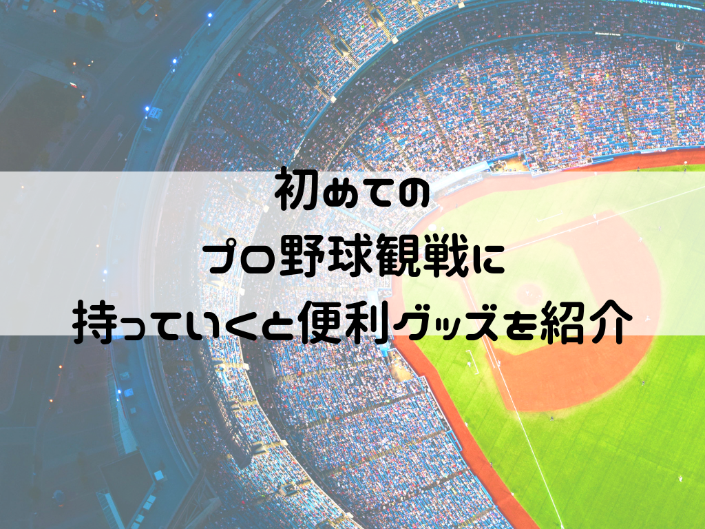 初めてのプロ野球観戦に持っていくと便利な持ち物 いよこのブログ