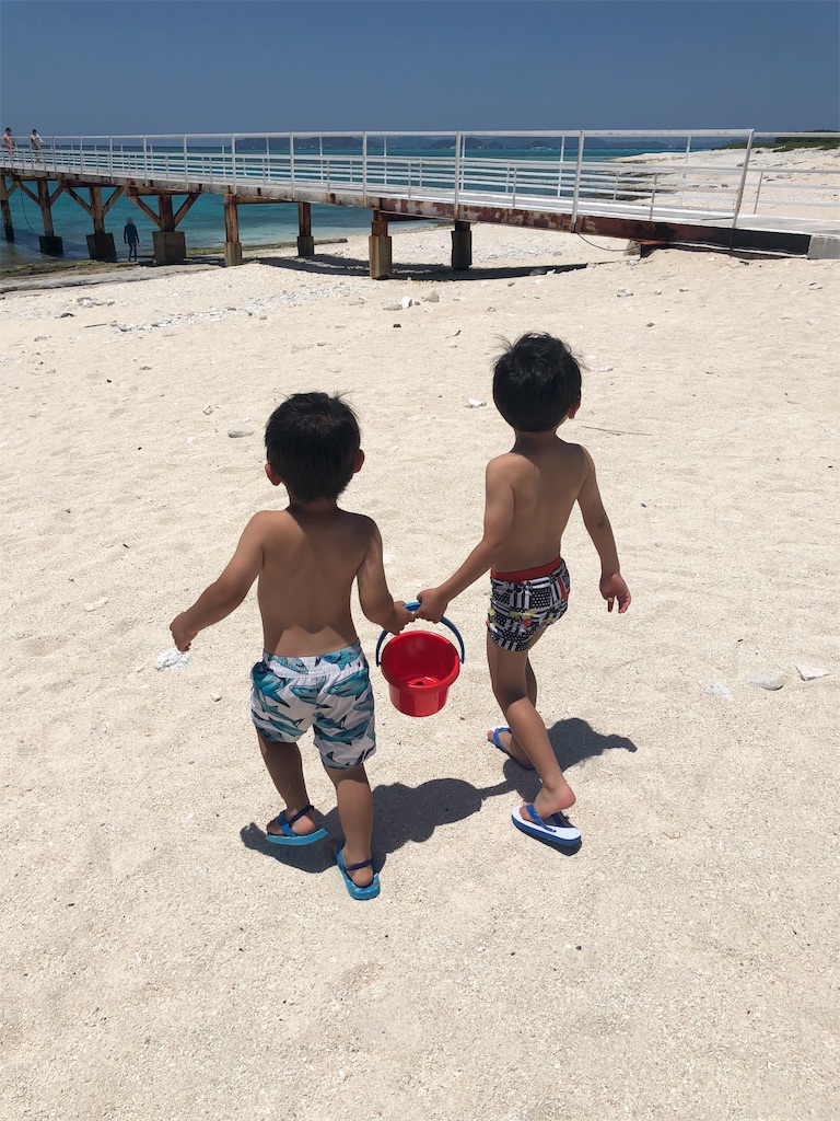 f:id:iyoiyo_iyoco:20190703212814j:image