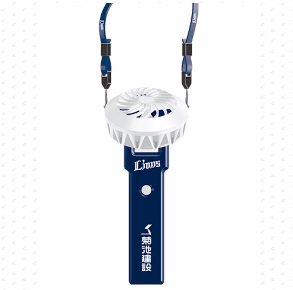 f:id:iyoiyo_iyoco:20190715224044j:image