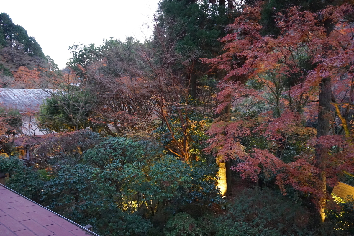 f:id:iyotabi:20210130060315j:plain