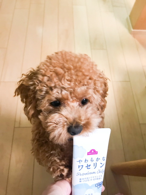 f:id:iyuko2951:20211008095202j:plain