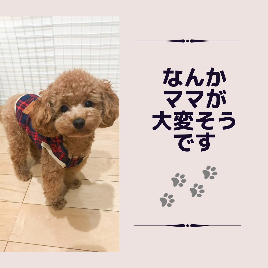 f:id:iyuko2951:20211116000926p:plain