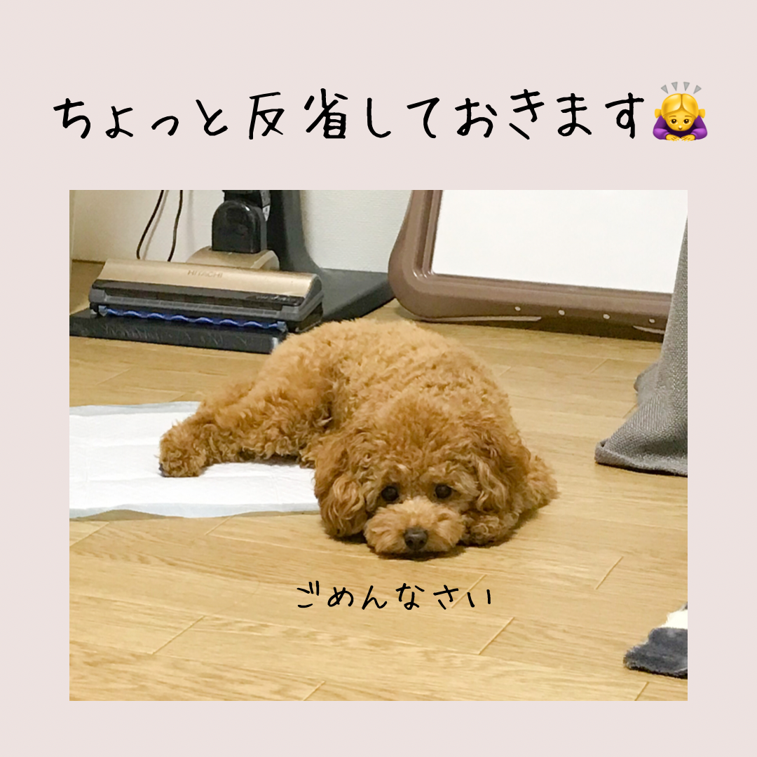 f:id:iyuko2951:20211116001040p:plain