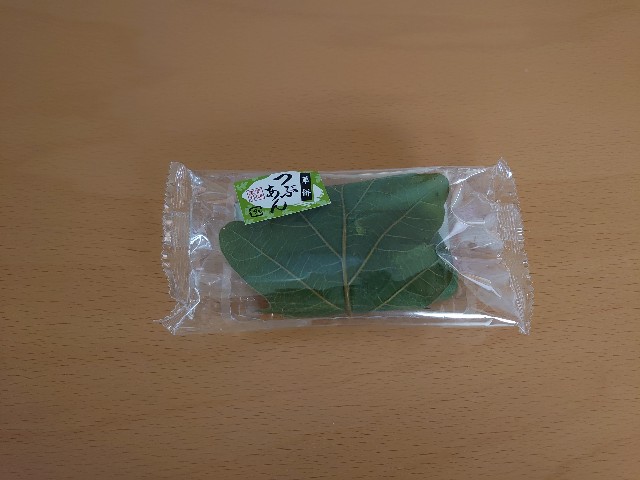 f:id:izayoi_yoi:20210329202031j:image