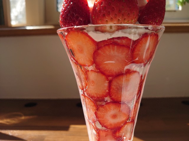 f:id:izayoi_yoi:20220403193724j:image f:id:izayoi_yoi:20220403193724j:image