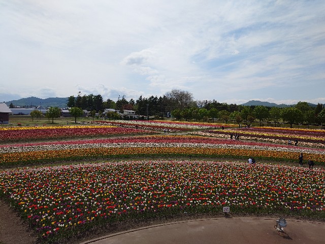f:id:izayoi_yoi:20230529190019j:image