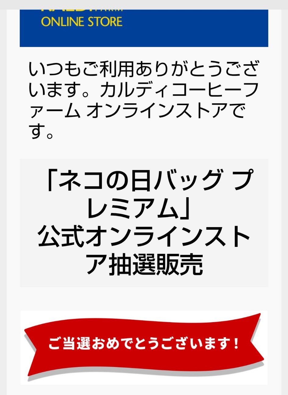 f:id:izayoi_yoi:20260313111007j:image