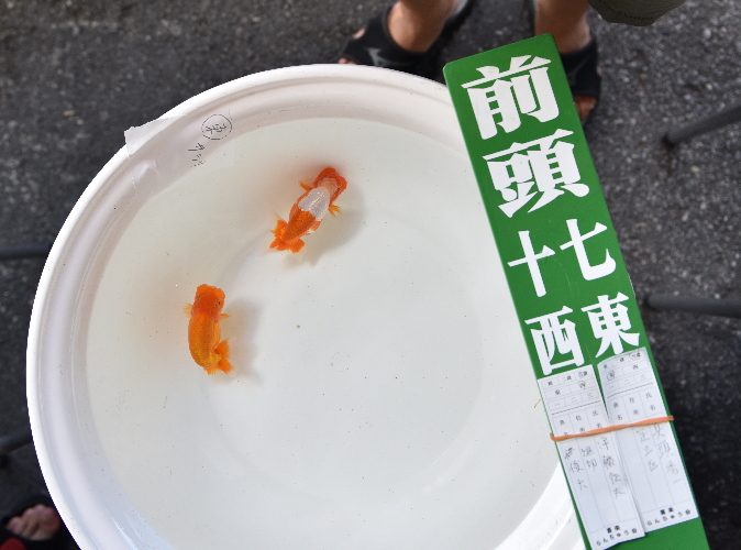 f:id:izest:20180909180159j:plain f:id:izest:20180909180159j:plain