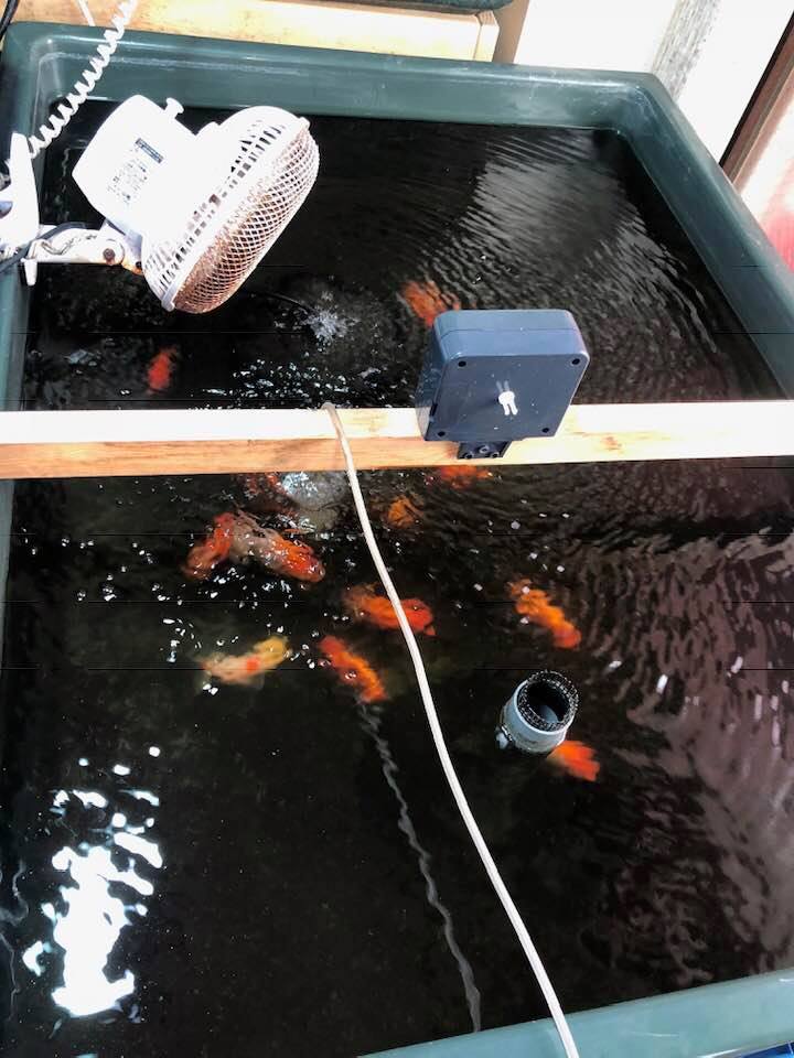 f:id:izest:20181211132846j:plain f:id:izest:20181211132846j:plain