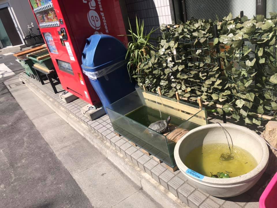 f:id:izest:20190508212939j:plain