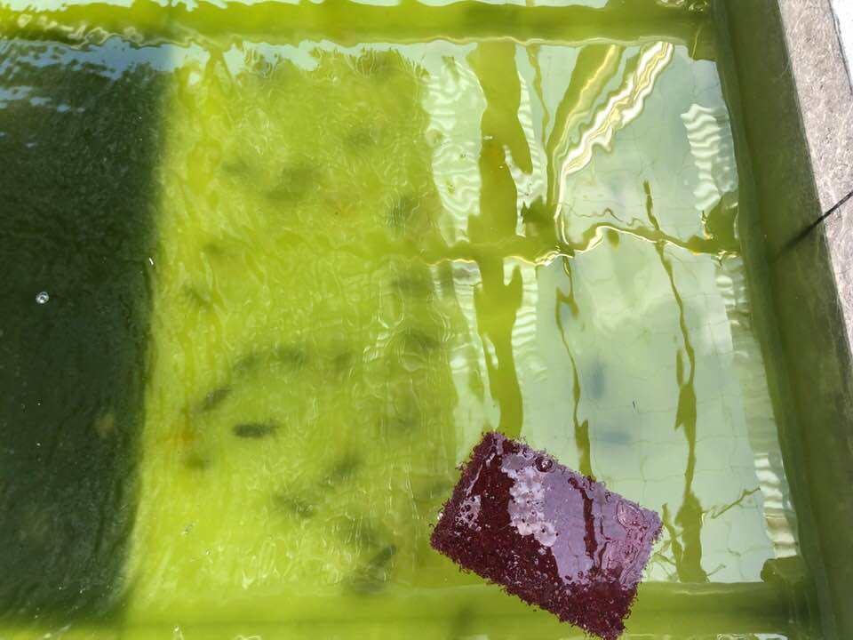 f:id:izest:20190608152943j:plain