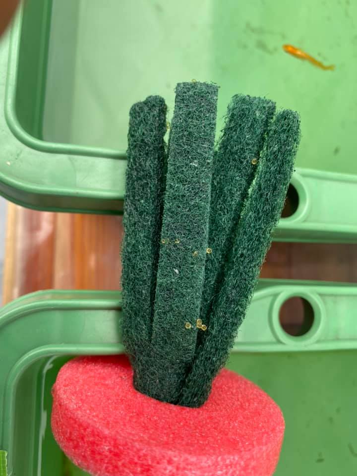 f:id:izest:20200730224149j:plain