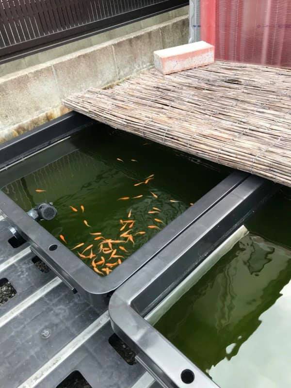 f:id:izest:20200730225409j:plain