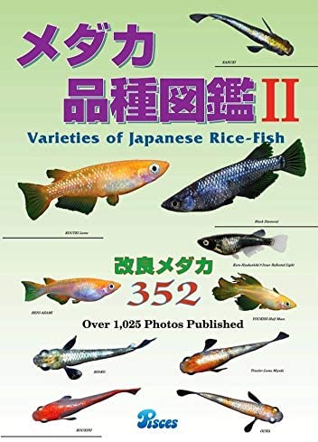f:id:izest:20200804192453j:plain