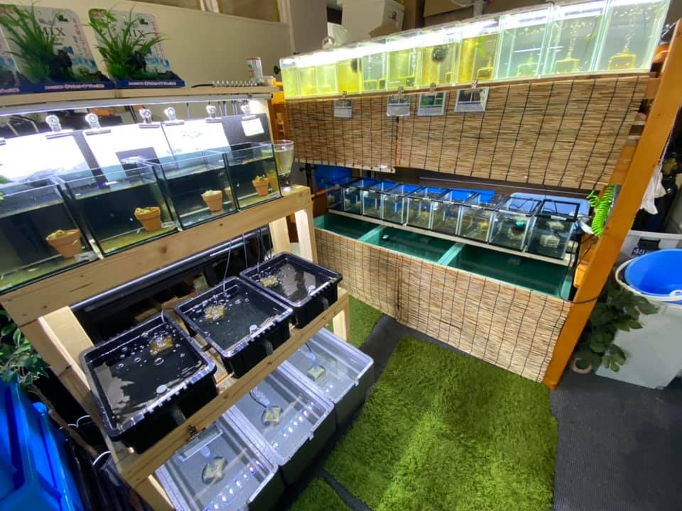 f:id:izest:20200821133440j:plain f:id:izest:20200821133440j:plain