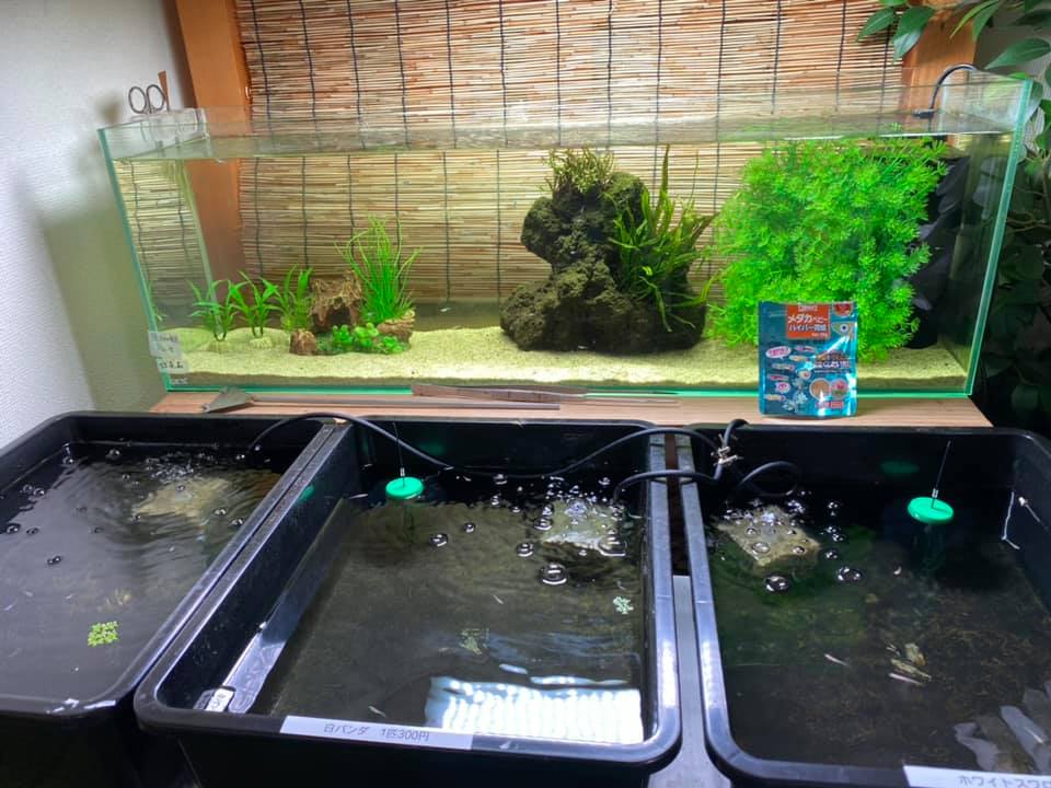 f:id:izest:20200821133503j:plain f:id:izest:20200821133503j:plain