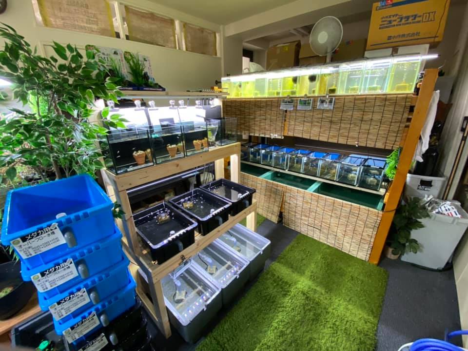 f:id:izest:20200825133144j:plain