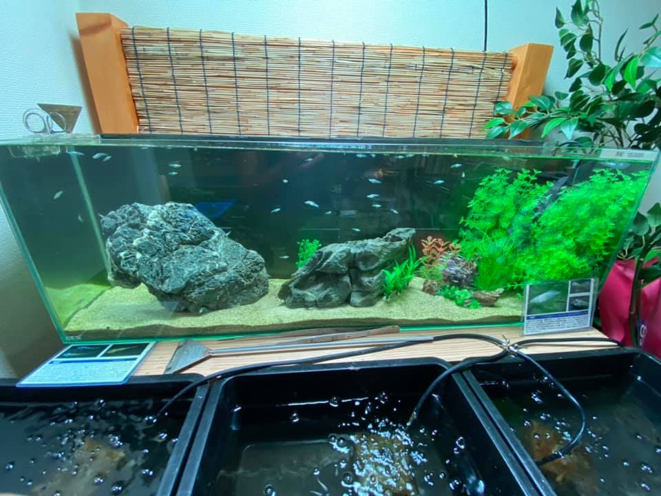 f:id:izest:20200903143950j:plain